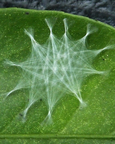 An Instagram carousel post added on Dec 09, 2023. The author is @grace_morenko.