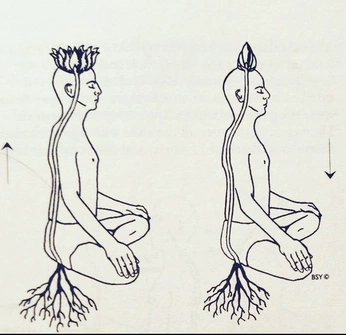 A cover of "꩜" cluster. The owner is belatriz. The cluster consists of 3 elements.