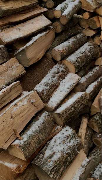 A cover of "Yule" cluster. The owner is whataboutangeles. The cluster consists of 105 elements.