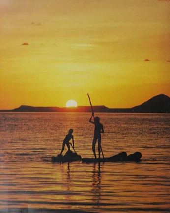 A cover of "design" cluster. The owner is sangitaa1612. The cluster consists of 14 elements.