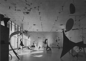 A cover of "Installation" cluster. The owner is zunza. The cluster consists of 2 elements.