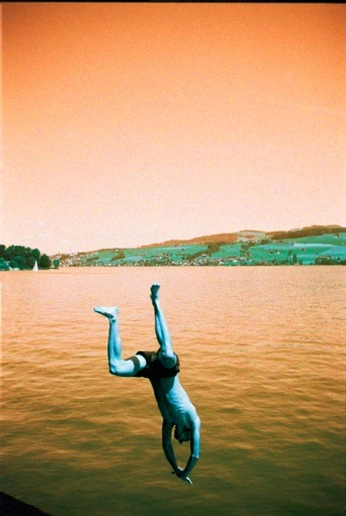 A cover of "Analogismes" cluster. The owner is jul00. The cluster consists of 13 elements.