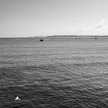 A cover of "ocean" cluster. The owner is njokikariuki. The cluster description is " ". The cluster consists of 49 elements.