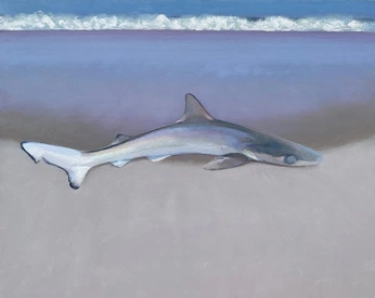 A cover of "Painting" cluster. The owner is isaacfh. The cluster consists of 1 element.