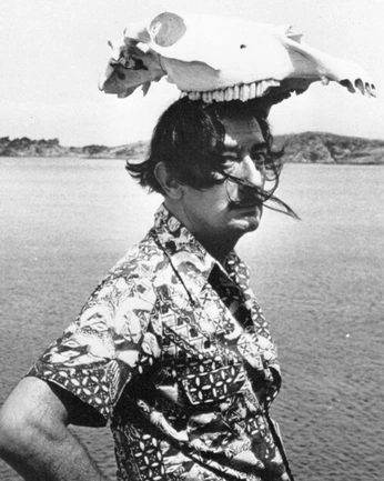 A cover of "caos" cluster. The owner is borbala. The cluster consists of 10 elements.