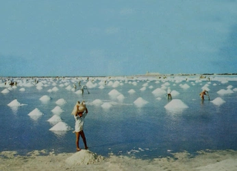 A cover of "RPG project" cluster. The owner is vltmn. The cluster consists of 11 elements.