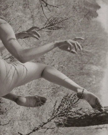 A cover of "2026 Dream to real life" cluster. The owner is pokingclouds. The cluster consists of 26 elements.