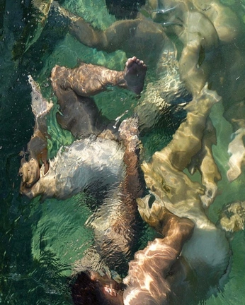 A cover of "green" cluster. The owner is coline. The cluster consists of 7 elements.