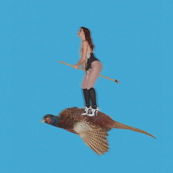 A cover of "fantasyland" cluster. The owner is dorapaphides. The cluster consists of 153 elements.