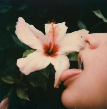 A cover of "henry rose" cluster. The owner is katieflanigan. The cluster consists of 2 elements.