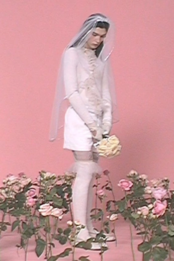 A cover of "vita" cluster. The owner is aplanetnine. The cluster consists of 15 elements.