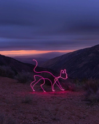 A cover of "fotografie" cluster. The owner is larryyyy. The cluster consists of 8 elements.