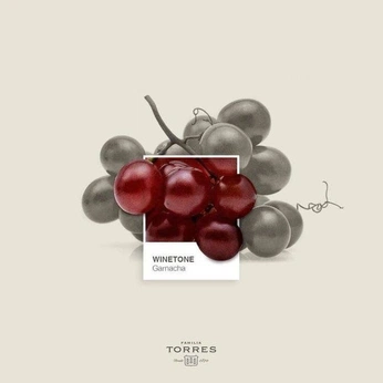 A cover of "The last sin" cluster. The owner is yasminsouza. The cluster consists of 15 elements.