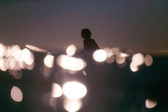 A cover of "🌃" cluster. The owner is pinkleopard2. The cluster consists of 17 elements.