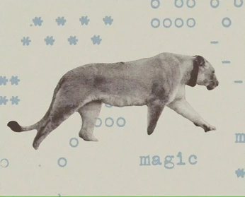 A cover of "I. Video Project" cluster. The owner is cat.myung. The cluster consists of 4 elements.