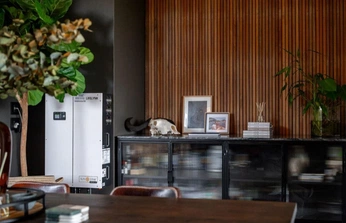 A cover of "p▐  a c e" cluster. The owner is shae.ziii. The cluster consists of 5 elements.