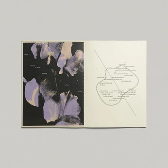 A cover of "Layout" cluster. The owner is lalyyy. The cluster consists of 82 elements.