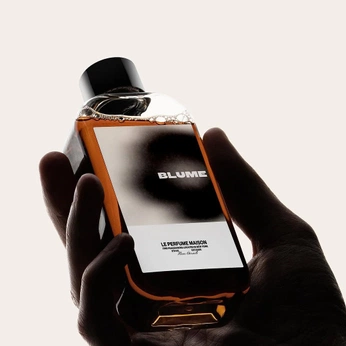 A cover of "Parus" cluster. The owner is thisisrich. The cluster consists of 16 elements.