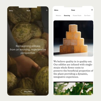 A cover of "[Brand] Site + App Inspo" cluster. The owner is alexareeder. The cluster consists of 19 elements.