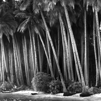 A cover of "POTC" cluster. The owner is rain18. The cluster consists of 16 elements.