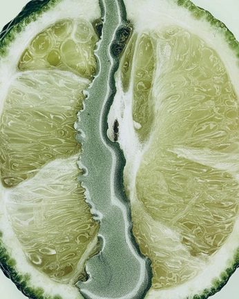 A cover of "Integration Deck" cluster. The owner is tatianacamacho. The cluster consists of 5 elements.