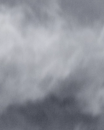 A cover of "REF." cluster. The owner is tutumaki. The cluster consists of 75 elements.