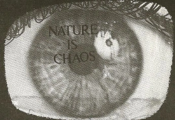 A cover of "Punk Graphic Design" cluster. The owner is daisybell. The cluster consists of 4 elements.