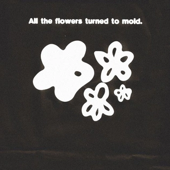 A cover of "T Dance EP" cluster. The owner is lunzerart. The cluster consists of 9 elements.