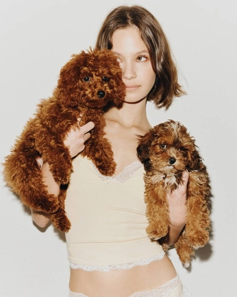 A cover of "Maya" cluster. The owner is bydamora. The cluster consists of 8 elements.