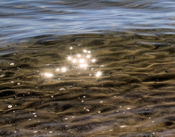 A cover of "Nature" cluster. The owner is itshighgoose. The cluster consists of 29 elements.