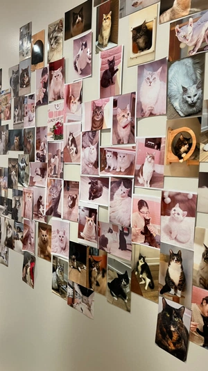 ˚ ༘ ೀ⋆｡˚ avatar