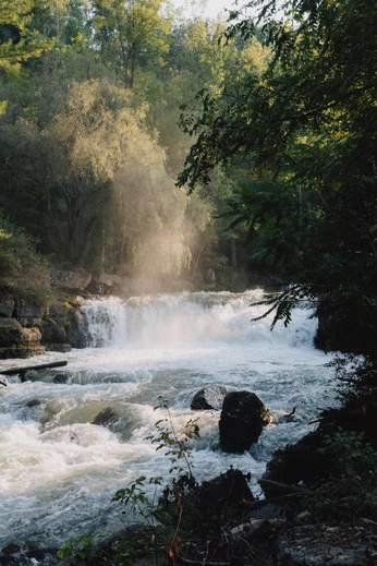A cover of "out" cluster. The owner is fatamorgana. The cluster consists of 1 element.