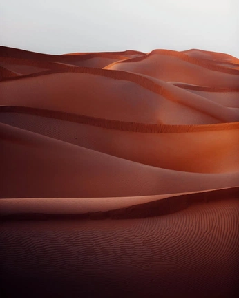 A cover of "Seneca New York" cluster. The owner is whittany. The cluster consists of 11 elements.