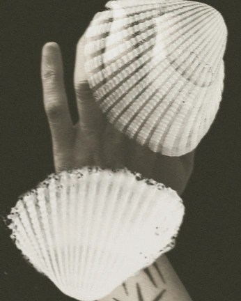 A cover of "nostalgia" cluster. The owner is luuucciiaaa. The cluster consists of 4 elements.