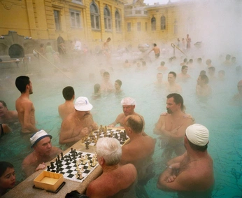 A cover of "Hermes 2026" cluster. The owner is valescamilla00. The cluster consists of 154 elements.