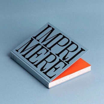 A cover of "book se jeter à l'eau" cluster. The owner is mayili. The cluster consists of 276 elements.