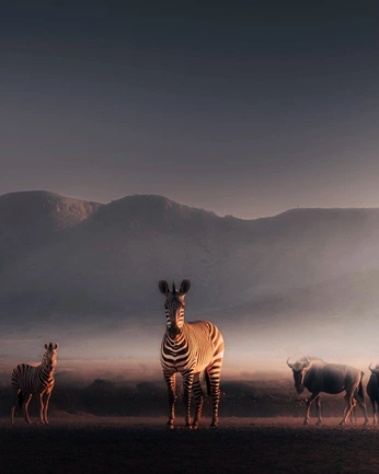 A cover of "Nature." cluster. The owner is iluvclairoo. The cluster consists of 5 elements.