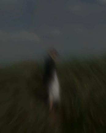 A cover of "Blur" cluster. The owner is davidtheophine. The cluster consists of 2 elements.