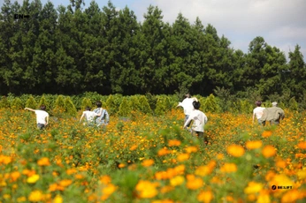 A cover of "film hypen" cluster. The owner is gerinism. The cluster consists of 11 elements.