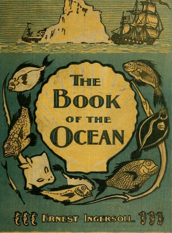 A cover of "o.o.o" cluster. The owner is nivvv. The cluster consists of 8 elements.