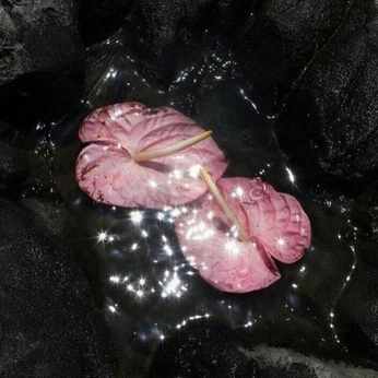 A cover of "water" cluster. The owner is wafflenattor. The cluster consists of 30 elements.