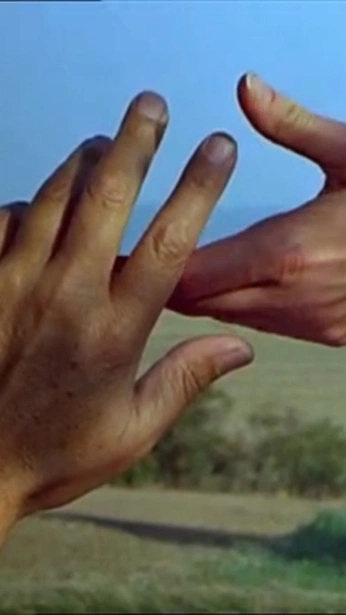 A cover of "05.Motion" cluster. The owner is josepedrocarmo. The cluster consists of 11 elements.