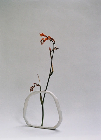 A cover of "ikebana" cluster. The owner is nicolek. The cluster consists of 1 element.