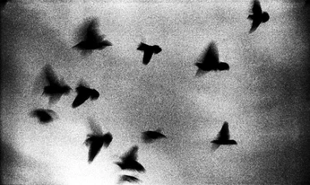 A cover of "negative / positive" cluster. The owner is daily.moodlist. The cluster consists of 15 elements.