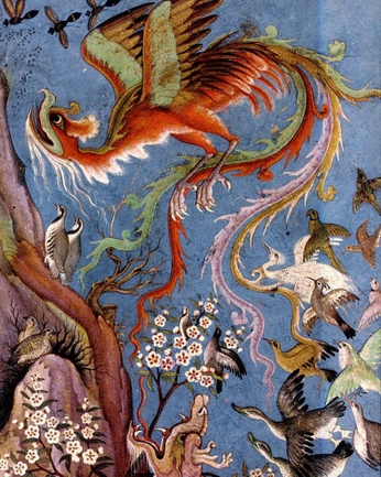 A cover of "Design" cluster. The owner is hillz. The cluster consists of 71 elements.