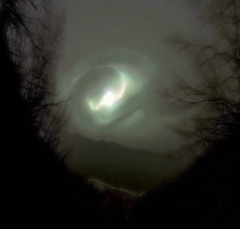 A cover of "Reference" cluster. The owner is northyme. The cluster consists of 3 elements.