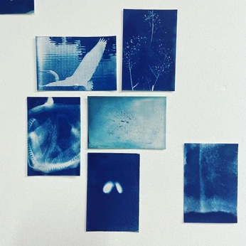 A cover of "Morfología" cluster. The owner is ivana.colautti. The cluster consists of 2 elements.