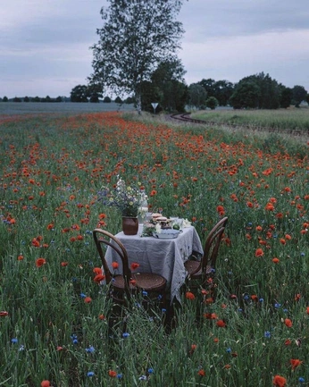 A cover of "Tea party reallness" cluster. The owner is leonog. The cluster consists of 6 elements.