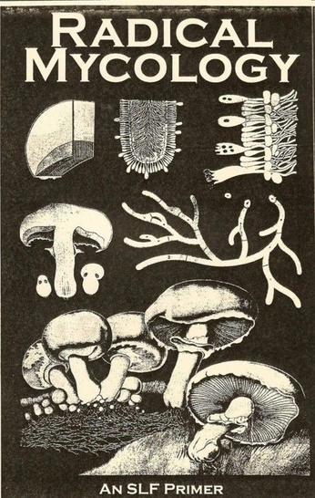 A cover of "images" cluster. The owner is hasana. The cluster consists of 52 elements.