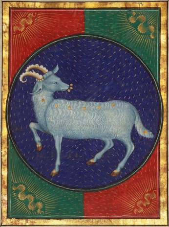 A cover of "cabras" cluster. The owner is antdmdtf. The cluster consists of 8 elements.